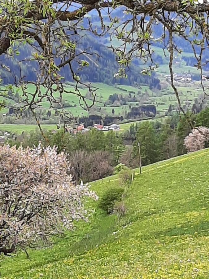 Fruhstuckspension Bischof I D Wiesen Sankt Peter am Kammersberg 외부 사진